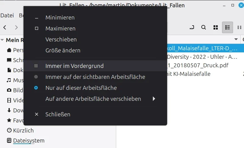 Programm immer im Vordergund