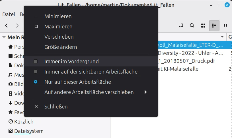 Feature: Programm immer im Vordergrund halten